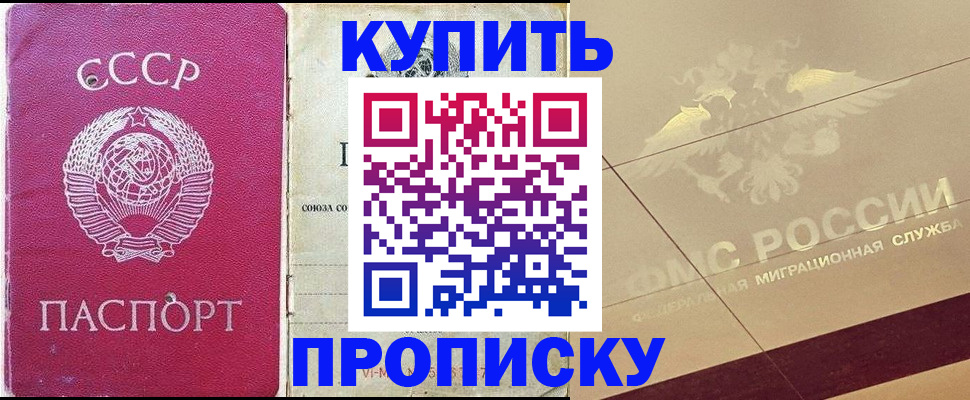 прописка для школы в Нововоронеже